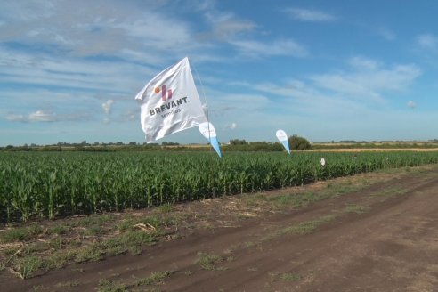 Un centro de investigación a campo en Aldea San Antonio