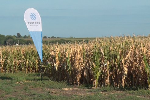 Modulos de Investigación Brevant - MB - Un centro de investigación a campo en Aldea San Antonio