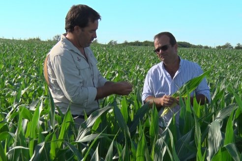 Modulos de Investigación Brevant - MB - Un centro de investigación a campo en Aldea San Antonio