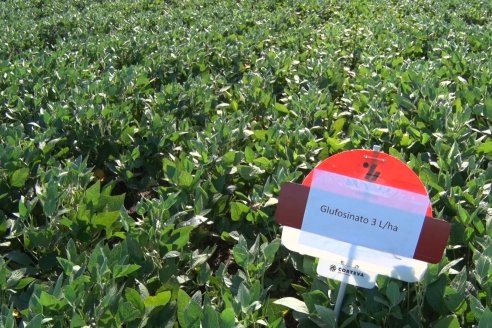 Modulos de Investigación Brevant - MB - Un centro de investigación a campo en Aldea San Antonio