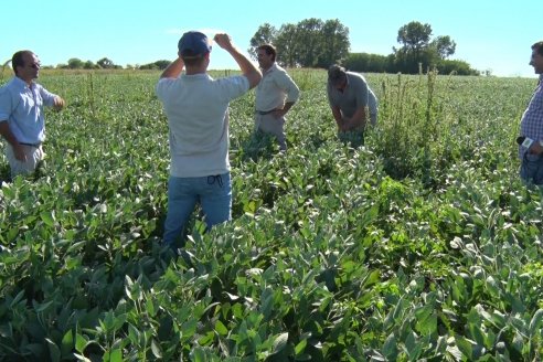 Modulos de Investigación Brevant - MB - Un centro de investigación a campo en Aldea San Antonio