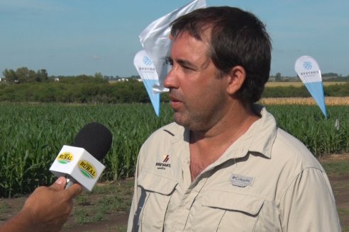 Modulos de Investigación Brevant - MB - Un centro de investigación a campo en Aldea San Antonio