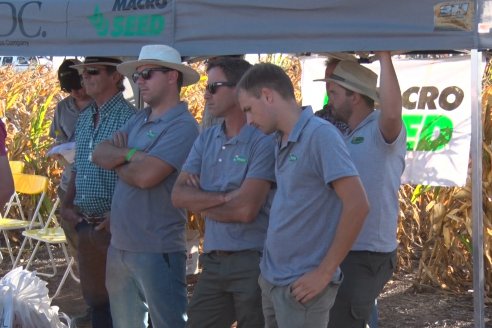 Jornada a Campo de Berardo Agropecuaria SRL - Potencial maicero y girasolero con tecnología y manejo - Urdinarrain