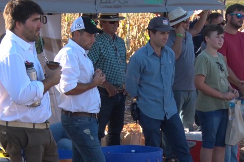 Jornada a Campo de Berardo Agropecuaria SRL - Potencial maicero y girasolero con tecnología y manejo - Urdinarrain