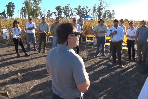 Jornada a Campo de Berardo Agropecuaria SRL - Potencial maicero y girasolero con tecnología y manejo - Urdinarrain
