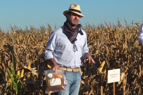 Jornada a Campo de Berardo Agropecuaria SRL - Potencial maicero y girasolero con tecnología y manejo - Urdinarrain