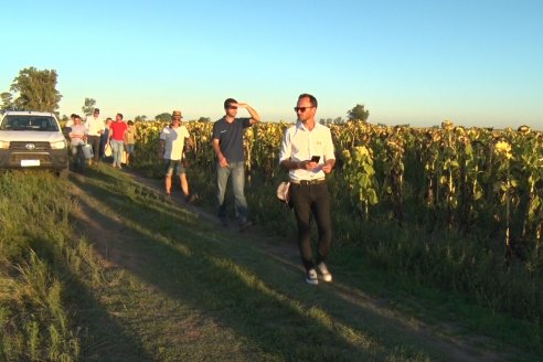 Jornada a Campo de Berardo Agropecuaria SRL - Potencial maicero y girasolero con tecnología y manejo - Urdinarrain