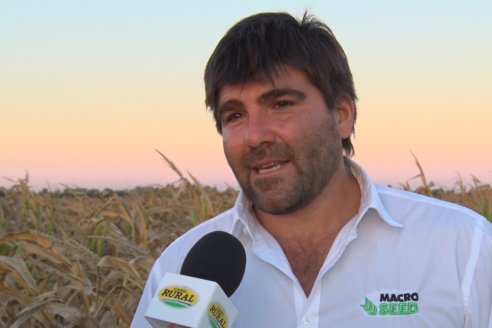 Jornada a Campo de Berardo Agropecuaria SRL - Potencial maicero y girasolero con tecnología y manejo - Urdinarrain