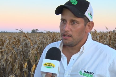 Jornada a Campo de Berardo Agropecuaria SRL - Potencial maicero y girasolero con tecnología y manejo - Urdinarrain