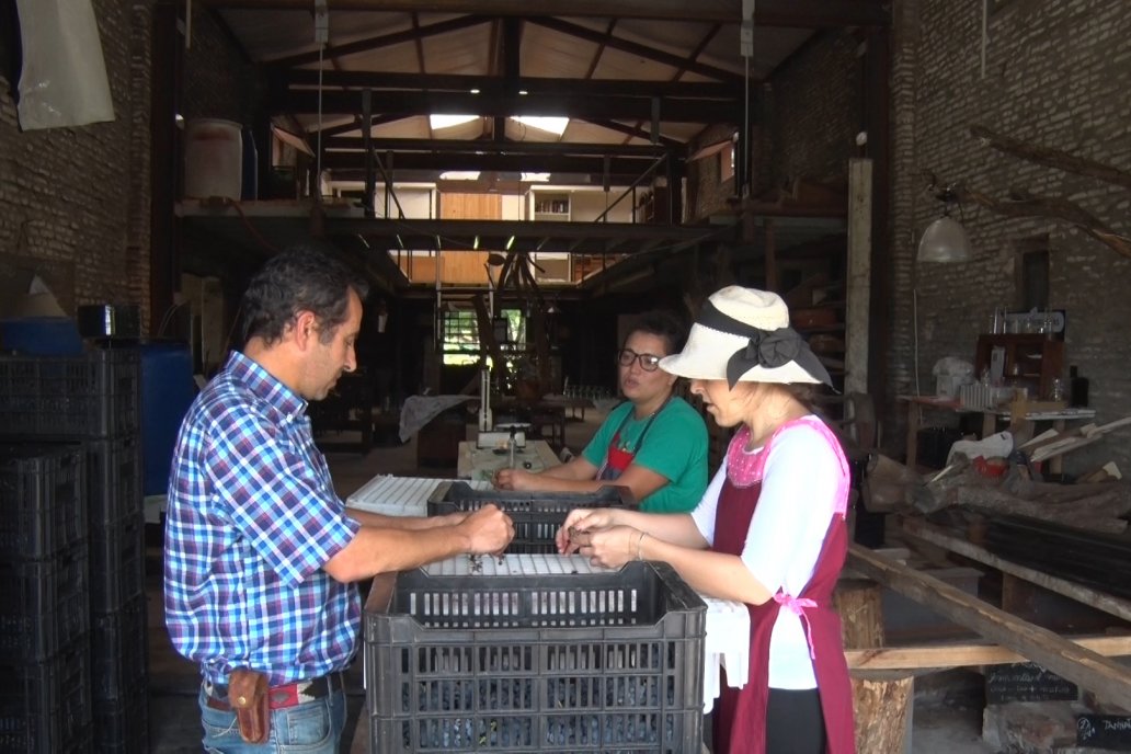 Producen más de una docena de variedades, el tannat es la vedette.