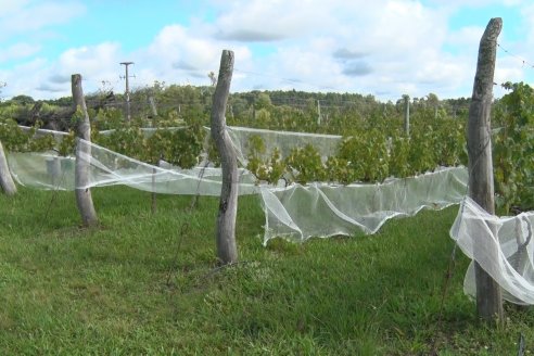 Visita a Establecimiento Pampa Azul en Concordia - El lugar donde los sabores y la historia van de la mano