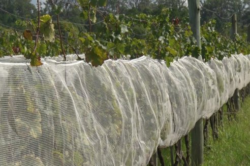 Visita a Establecimiento Pampa Azul en Concordia - El lugar donde los sabores y la historia van de la mano