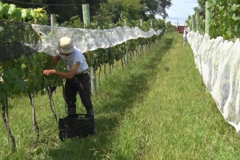 Visita a Establecimiento Pampa Azul en Concordia - El lugar donde los sabores y la historia van de la mano