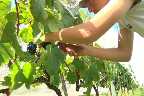 Visita a Establecimiento Pampa Azul en Concordia - El lugar donde los sabores y la historia van de la mano