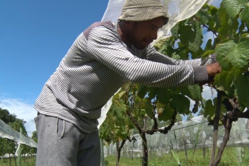 Visita a Establecimiento Pampa Azul en Concordia - El lugar donde los sabores y la historia van de la mano