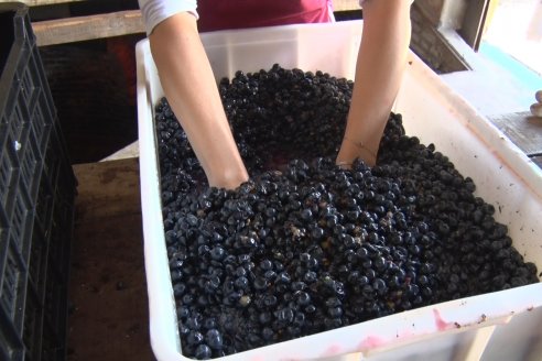 Visita a Establecimiento Pampa Azul en Concordia - El lugar donde los sabores y la historia van de la mano