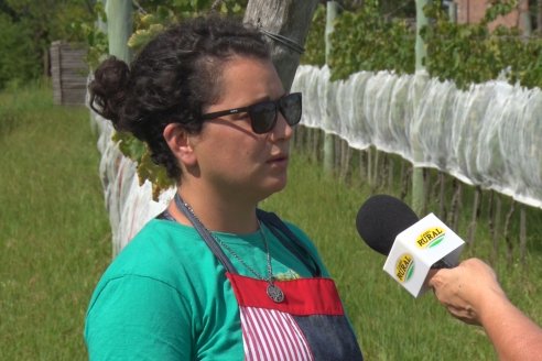 Visita a Establecimiento Pampa Azul en Concordia - El lugar donde los sabores y la historia van de la mano