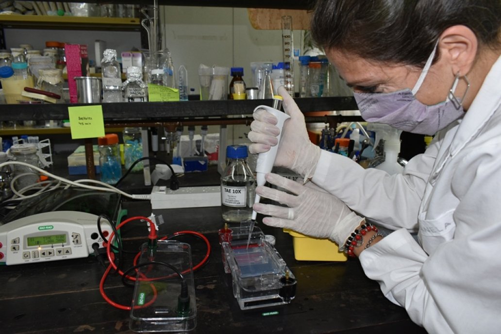 En laboratorios de INTA en el sur argentino trabajarán en nanovacunas. En laboratorios de INTA en el sur argentino trabajarán en nanovacunas.