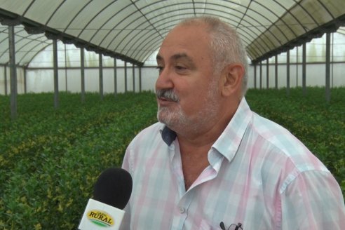 Vivero Santa Maria - La Criolla, Entre Ríos - Plantines de cítricos y nogales de primera calidad