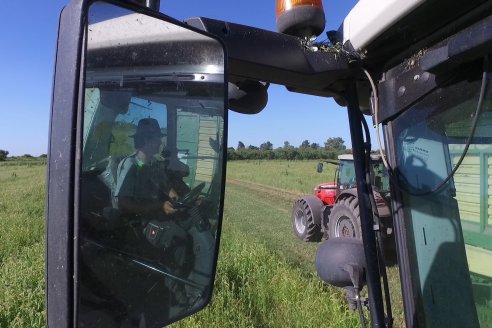 Despacio, la venta de fierros deja atrás dos años de vacas gordas