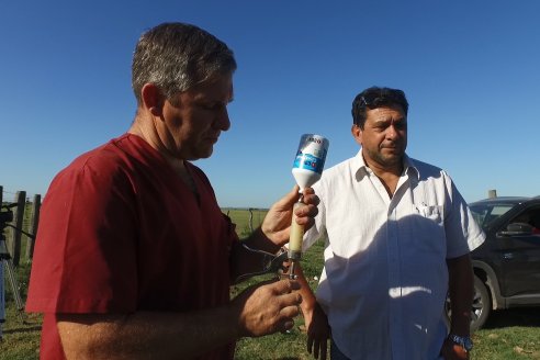 Rogelio Burne y Wilton Trossero - Visita a Establ. San Antonio en Costa Grande - Vacunación Pre Destete