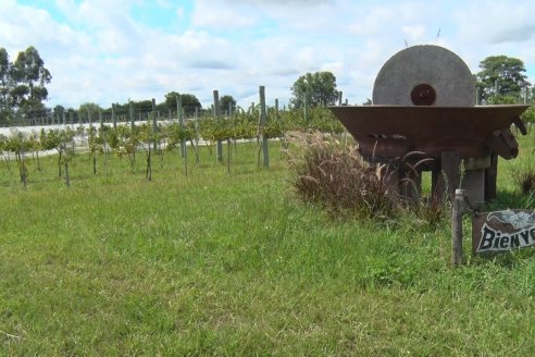 Vista a Establecimeinto Pampa Azul - Concordia - Vinos, Historia y una Reserva Natural se dan cita en un solo lugar