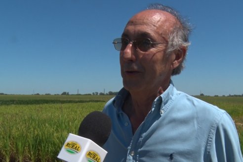 Día a Campo de Arroz - Campo Experimental de Fundación PROARROZ - San Salvador