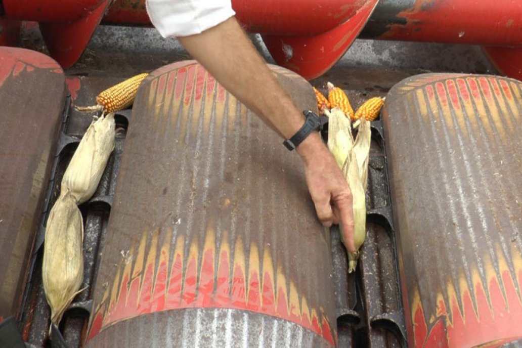Fundamental cubrir el espacio entre las barras del cilindro de trilla.