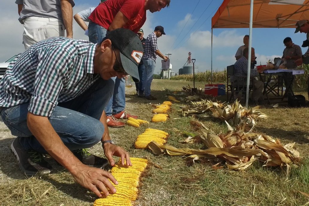 Los profesionales concretaron una recorrida y revisión a fondo del lote.