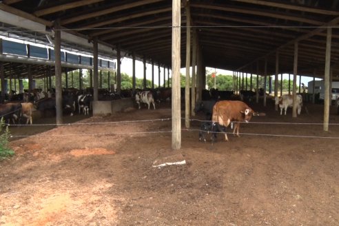 Visita a Establecimiento El Caraguatá - La ruta 31 necesita mejora urgente