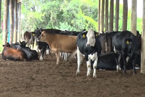 Visita a Establecimiento El Caraguatá - La ruta 31 necesita mejora urgente