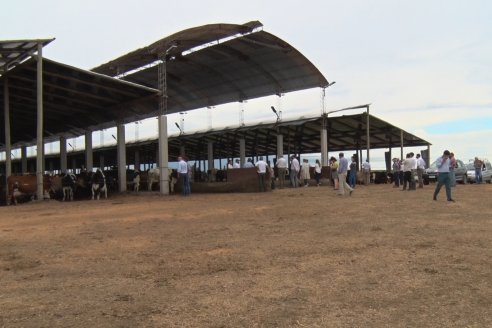 Visita a Establecimiento El Caraguatá - La ruta 31 necesita mejora urgente