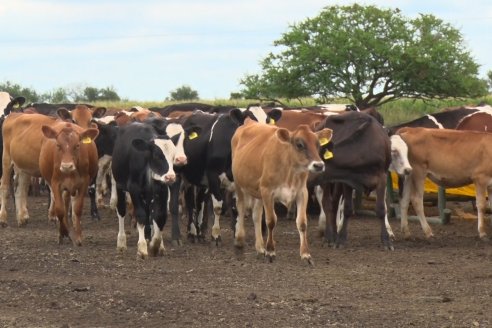 Visita a Establecimiento El Caraguatá - La ruta 31 necesita mejora urgente