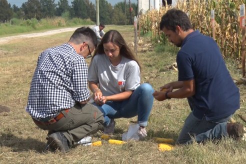 Jornada de Capacitación Regional KWS Semillas en Entre Ríos - Crespo