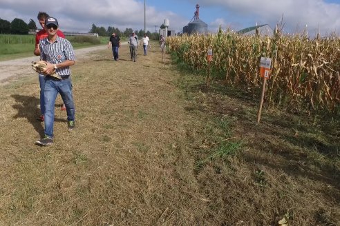 Jornada de Capacitación Regional KWS Semillas en Entre Ríos - Crespo