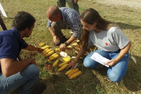 Jornada de Capacitación Regional KWS Semillas en Entre Ríos - Crespo