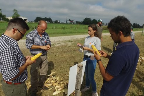 Jornada de Capacitación Regional KWS Semillas en Entre Ríos - Crespo