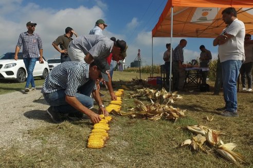 Jornada de Capacitación Regional KWS Semillas en Entre Ríos - Crespo