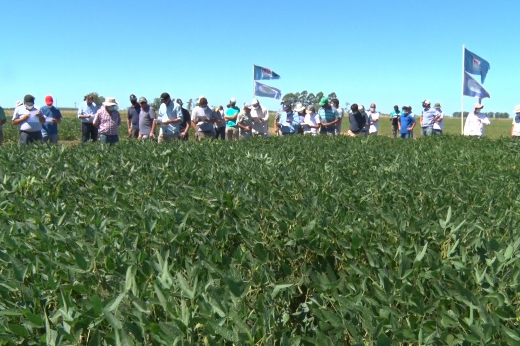 Investigación y extensión, sellos que distinguen la labor desde 1960.