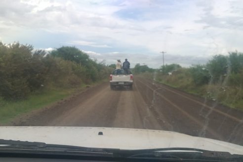 La lluvia cayó justo al inicio de la cosecha de los granos gruesos