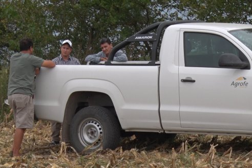 Mario Podversich - Productor Agropecuario  - Trilla de Maiz en Maria Grande Primera