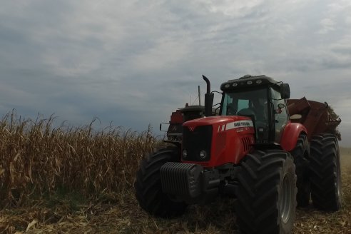 Mario Podversich - Productor Agropecuario  - Trilla de Maiz en Maria Grande Primera