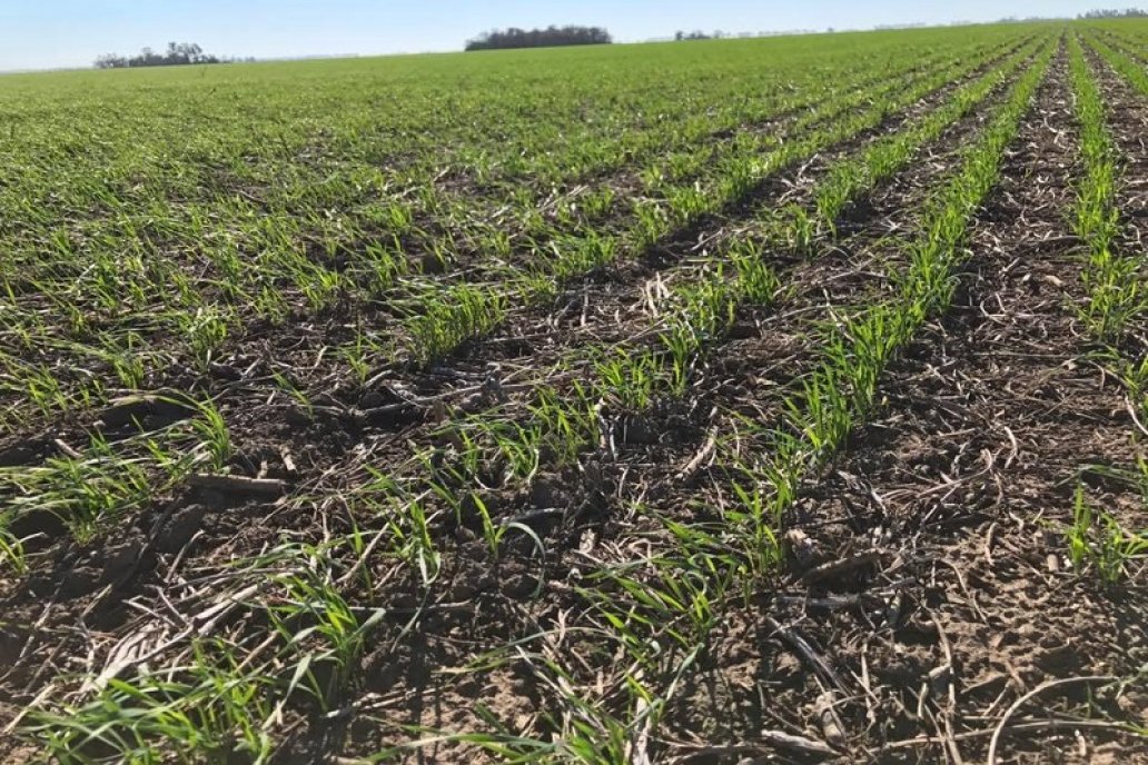 Los 21 milímetros caídos sobre Aldea Santa María hacen podio en la zona.