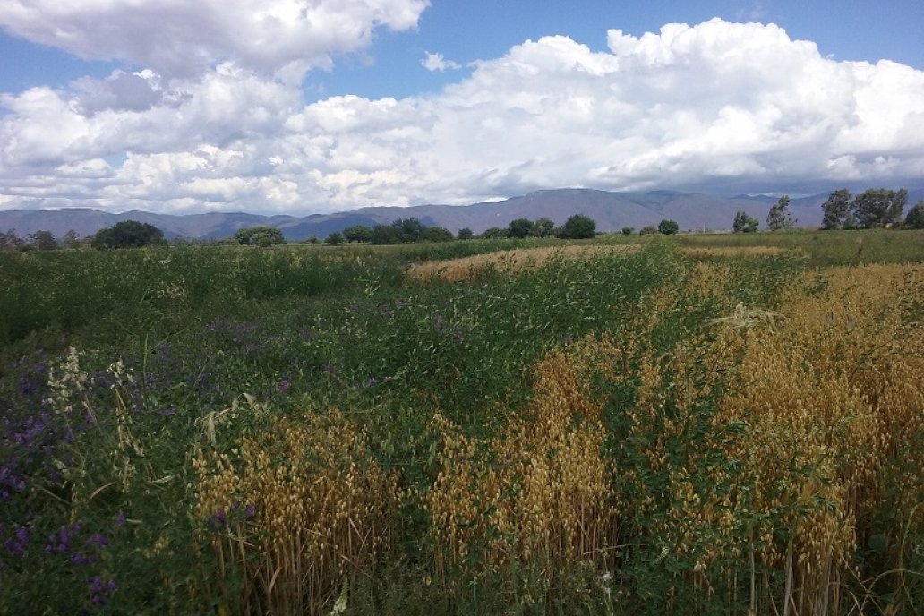 La regionalización de los cultivos es un tema de la agenda a debatir.