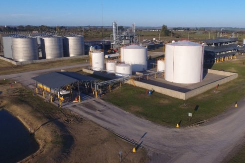 Pymes productoras de biodiésel, contra la “Liga Bioenergética”