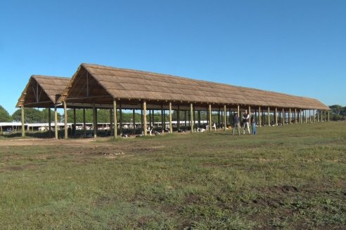 Visita a Estancia TAMA en Camps junto a la gente de DASER AGRO