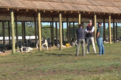 Visita a Estancia TAMA en Camps junto a la gente de DASER AGRO