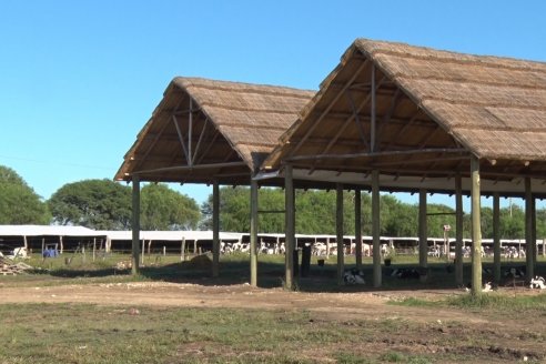 Visita a Estancia TAMA en Camps junto a la gente de DASER AGRO