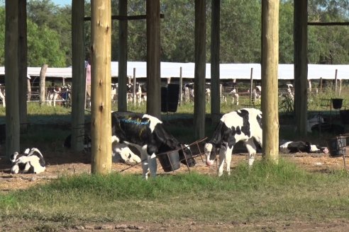 Visita a Estancia TAMA en Camps junto a la gente de DASER AGRO