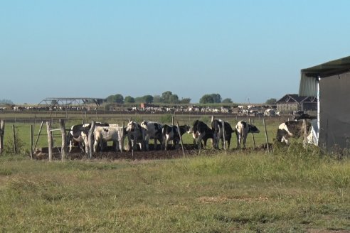 Visita a Estancia TAMA en Camps junto a la gente de DASER AGRO